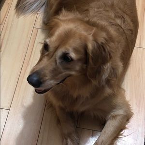 Meet your Posher, Lori